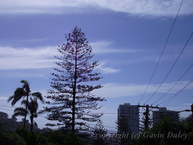 Burleigh Heads IMGP0306.JPG